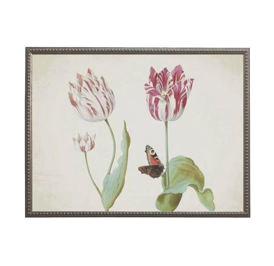 Vintage Tulip Prints