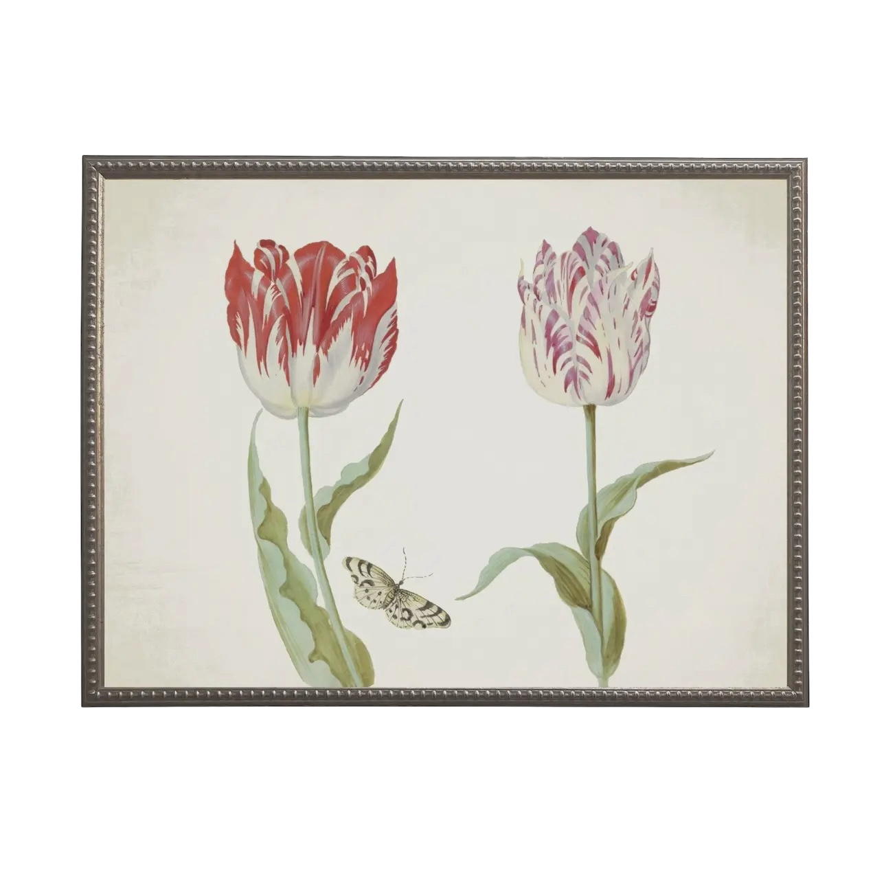 Vintage Tulip Prints