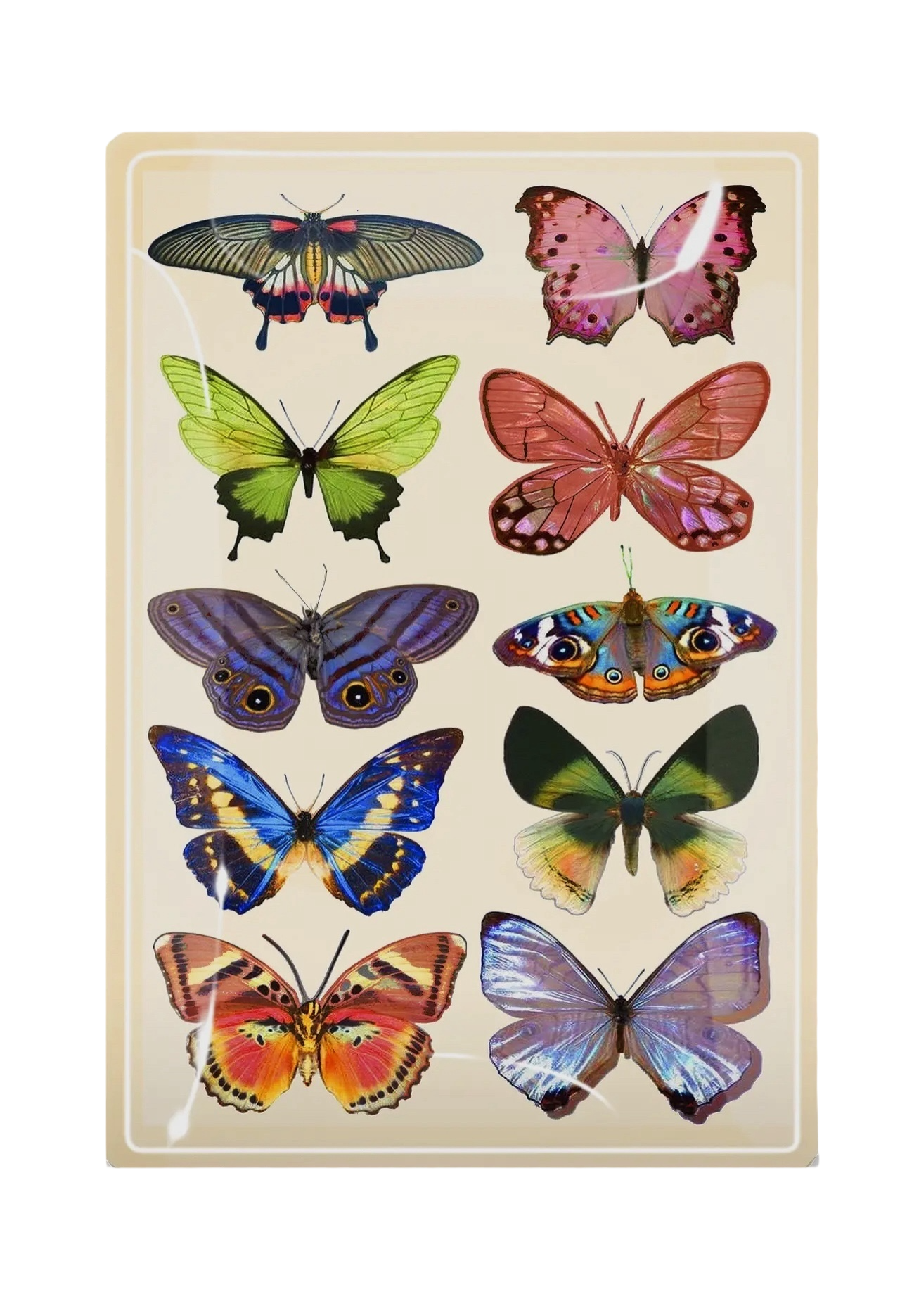 Wildflower Butterflies Decoupage Tray