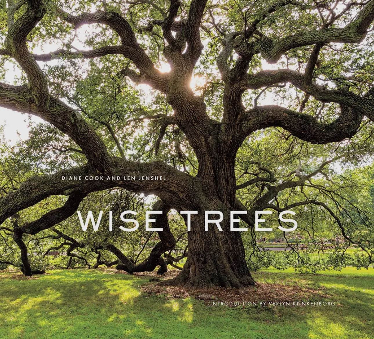 “Wise Trees” - Diane Cook & Len Jenshel