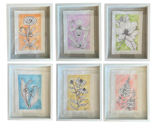 Jenn Leverett Art - Watercolor Botanicals