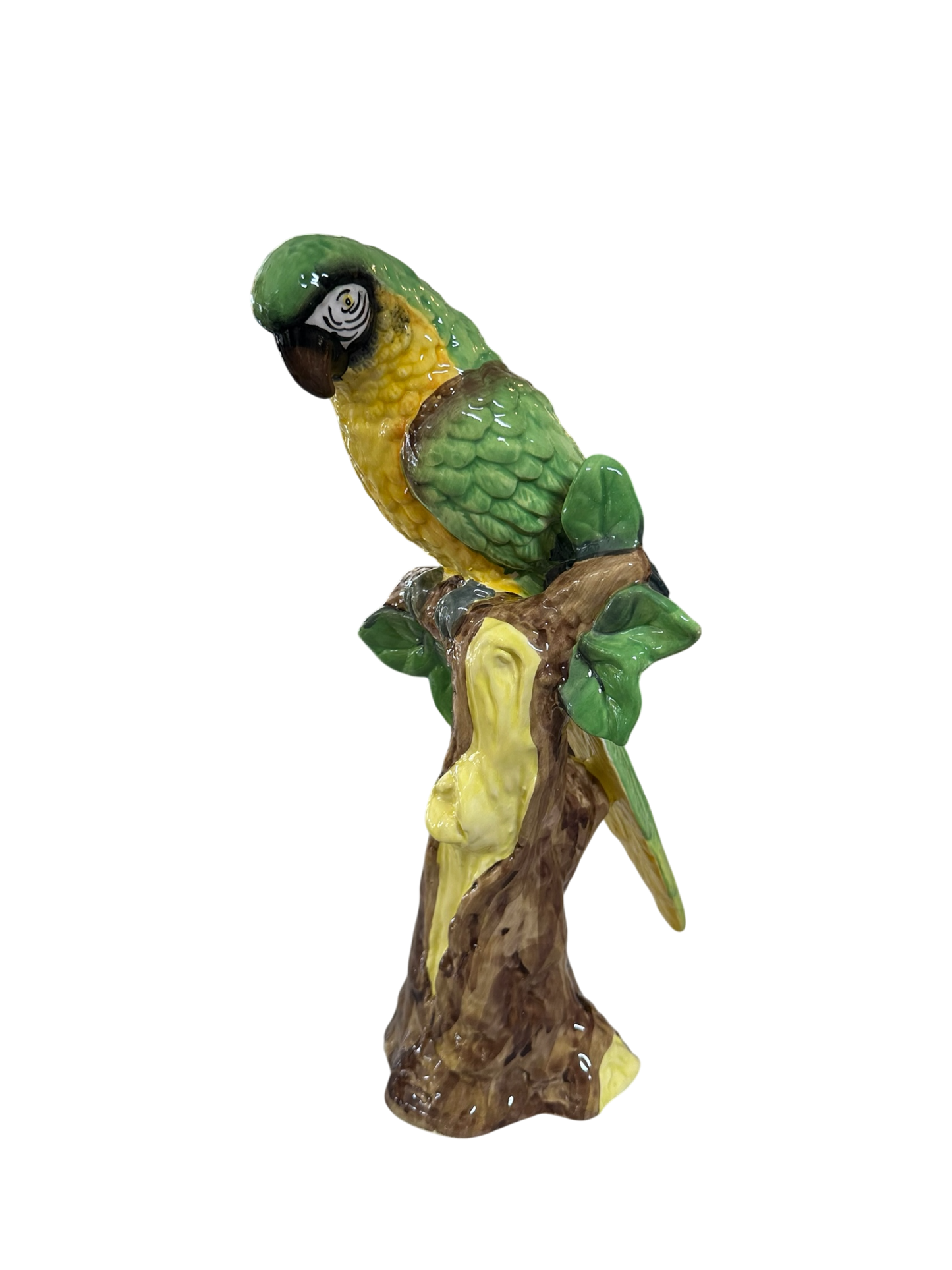 Hand-Painted Parrot