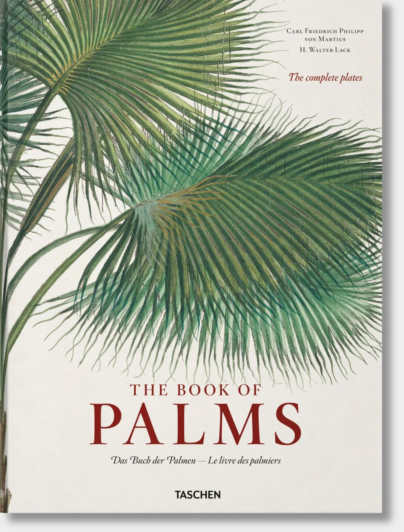 Martius. the Book of Palms
