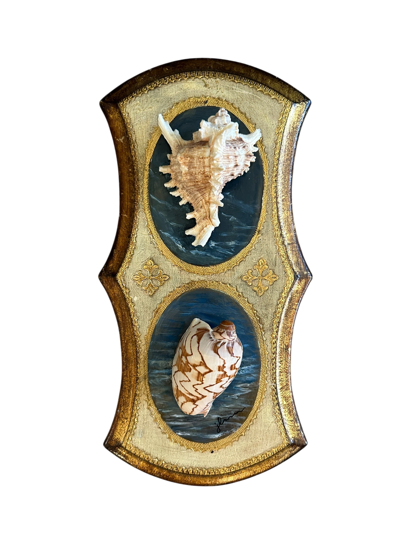 Jenn Leverett Art - Shell Study on Florentine