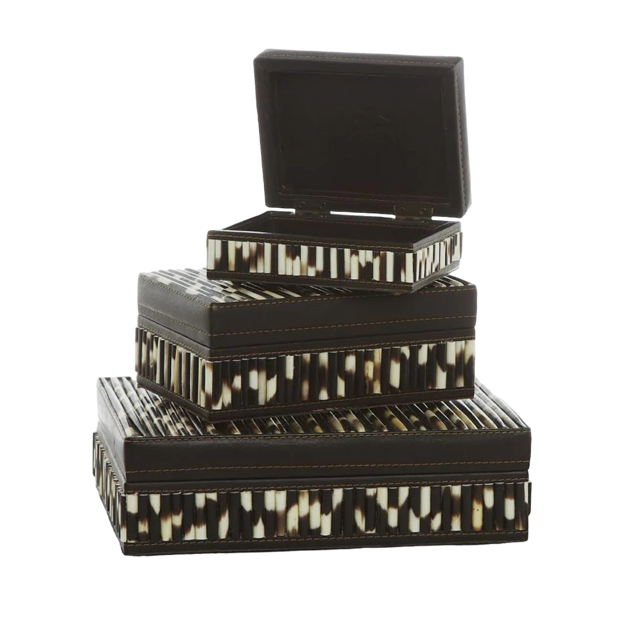 Quill Box with Buffalo Leather