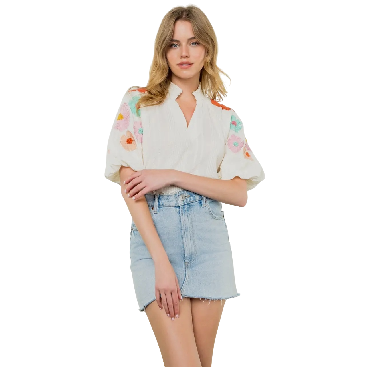 Multicolor Daisy Embroidered Puff Sleeve Top