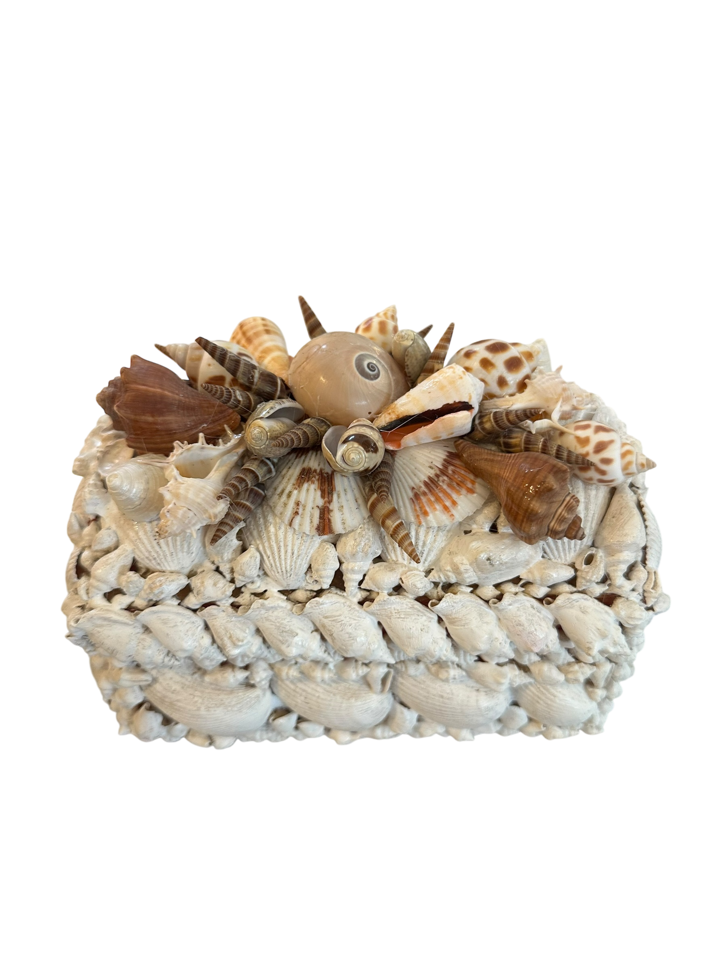 Jenn Leverett Art - Shell Encrusted Box I