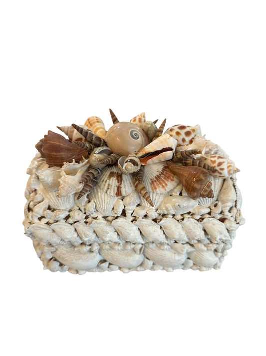 Jenn Leverett Art - Shell Encrusted Box I