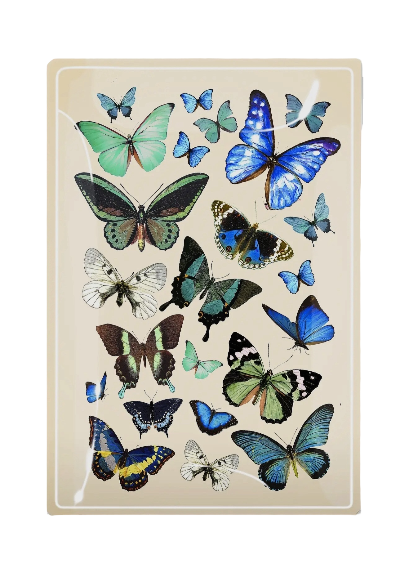 Blue Butterflies Decoupage Tray