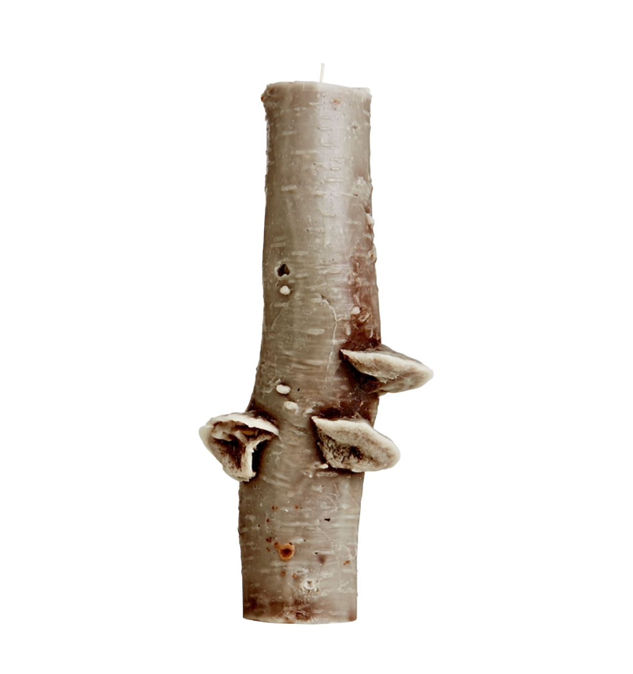 150 hr Birch Pillar