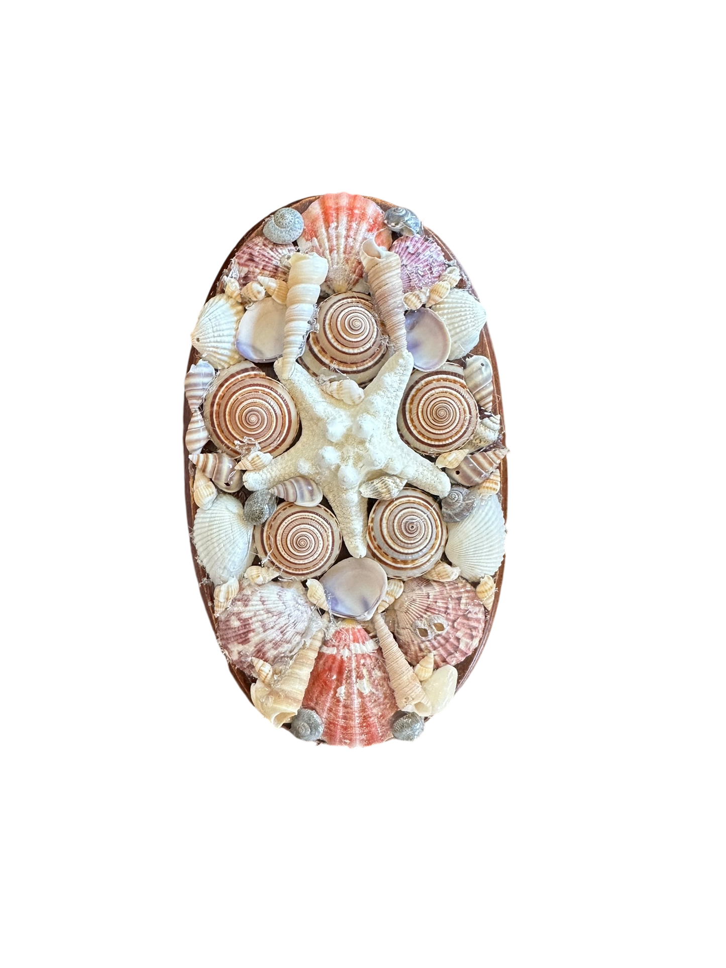 Jenn Leverett Art - Shell Encrusted Plaque
