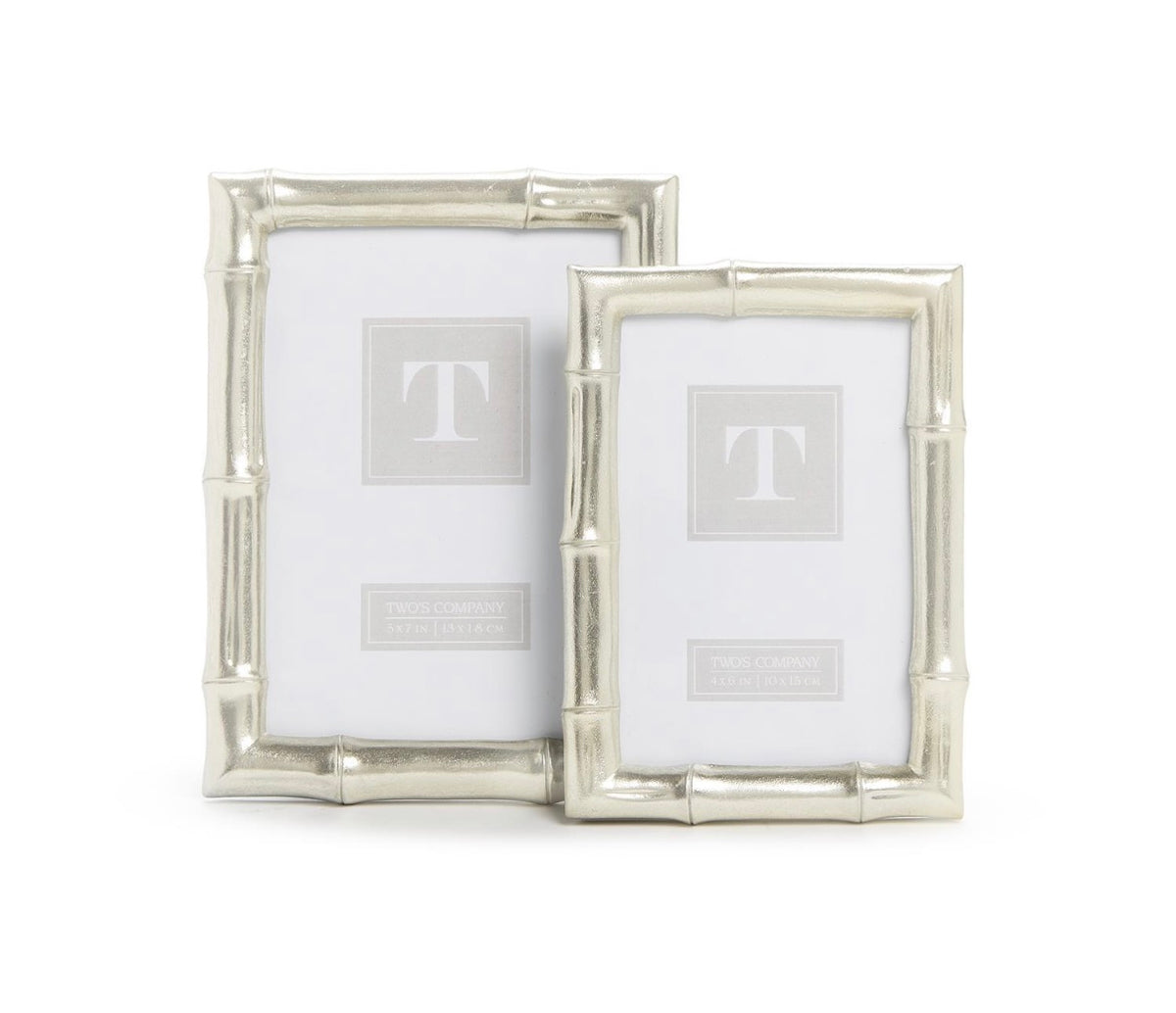 Bamboo Silver Frame