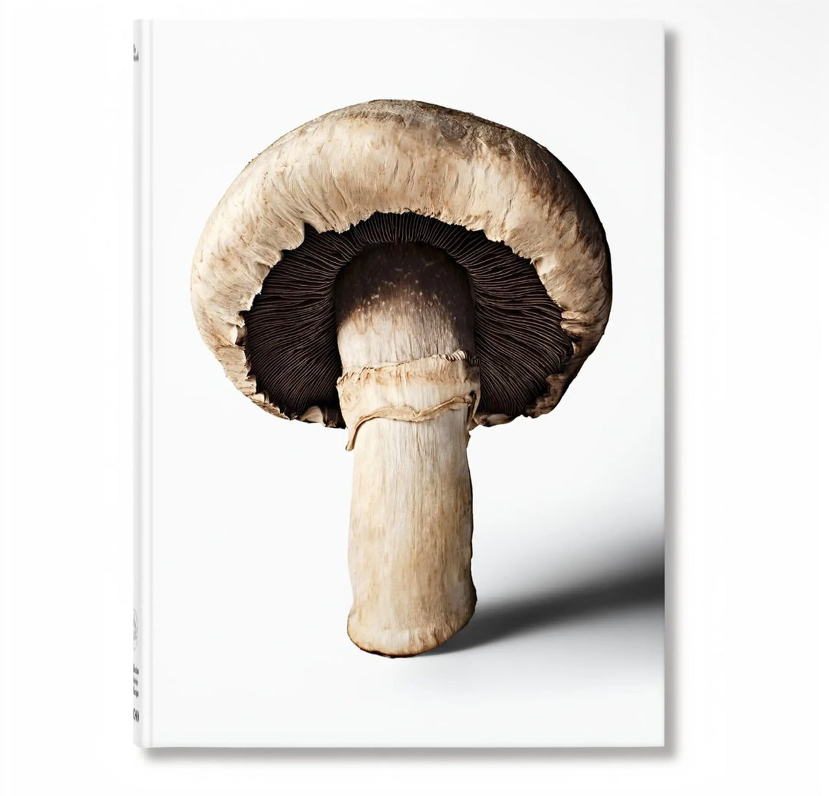 The Gourmand's Mushroom. A Collection of Stories and Recipes (English)