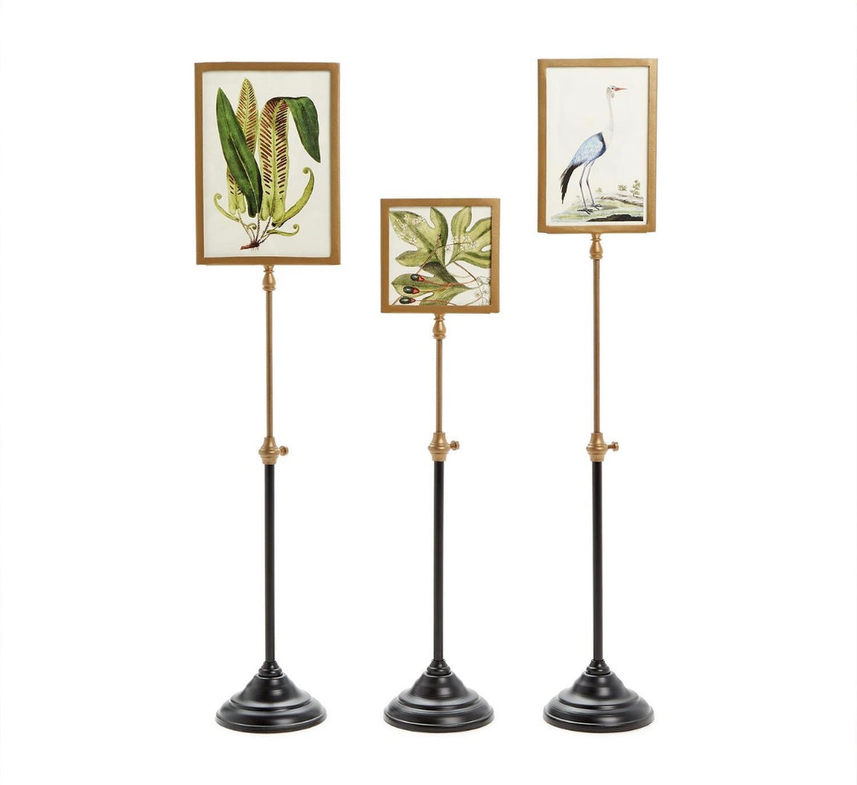 Telescoping Frame- 3 Sizes!