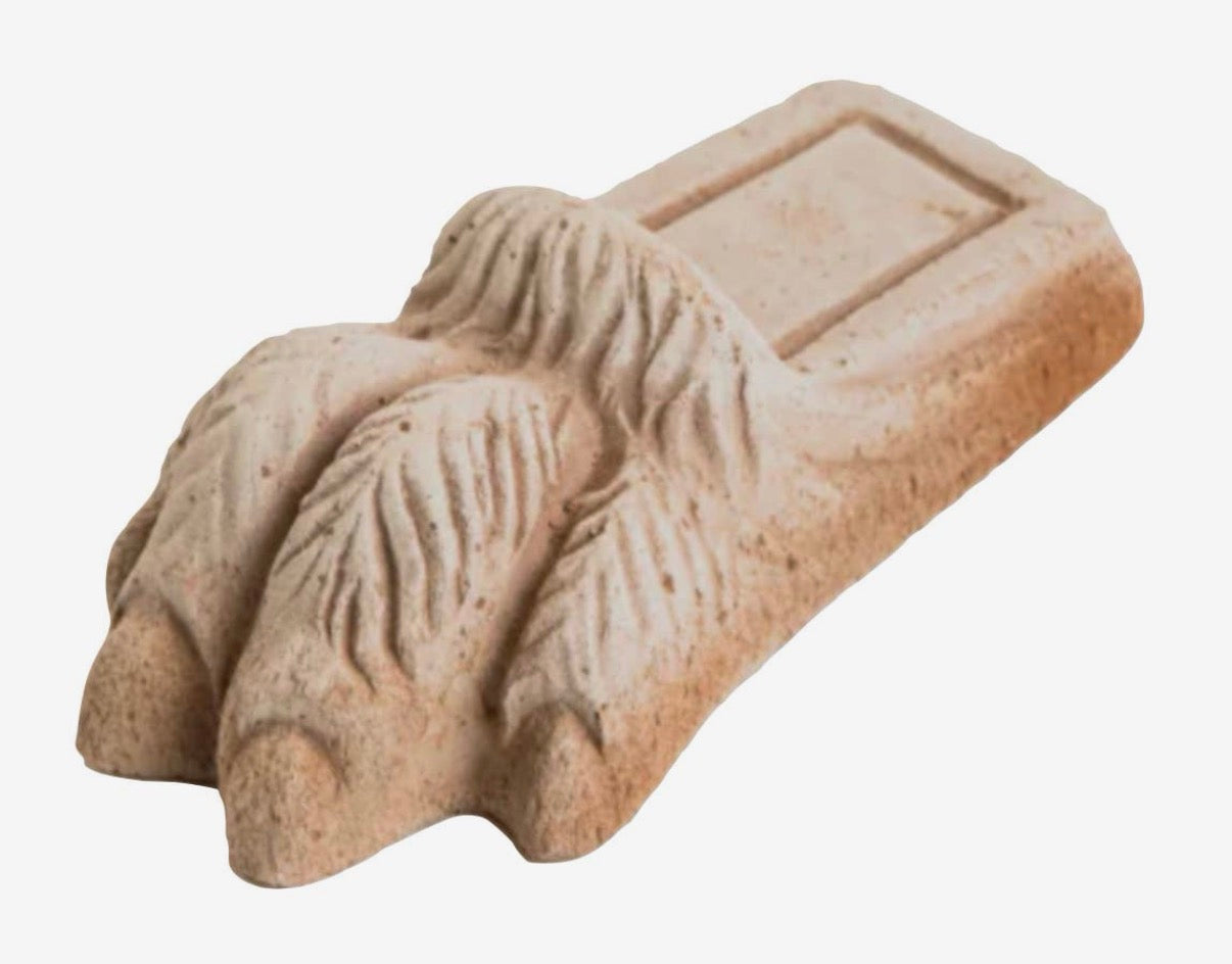 Lion Paw Pot Feet