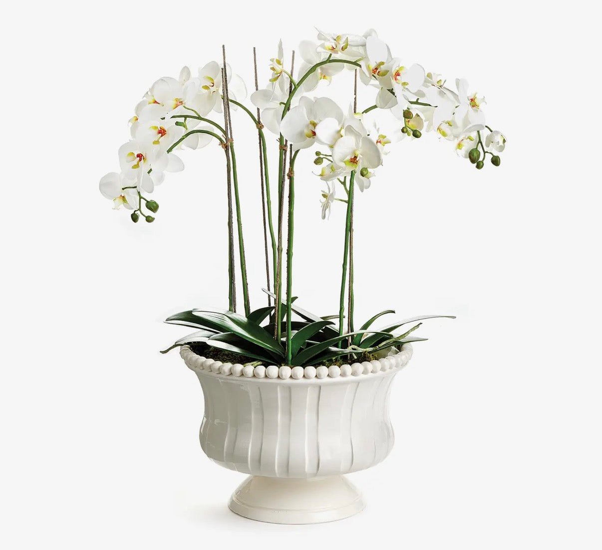 Coletta Footed Vase