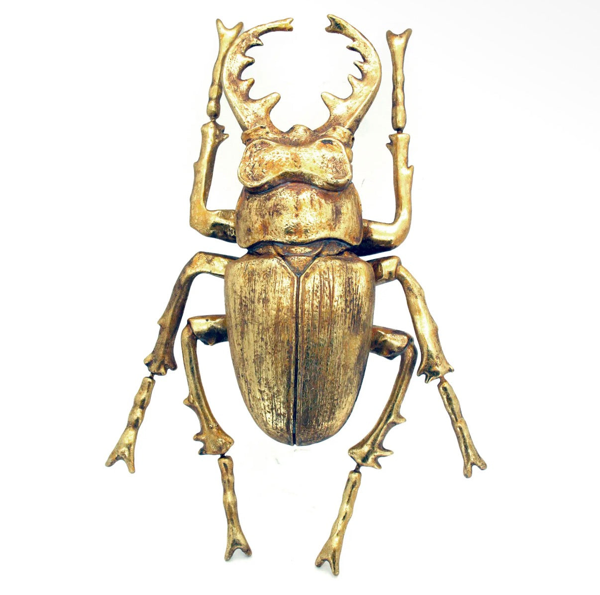 Gold Beetle Wall Decor