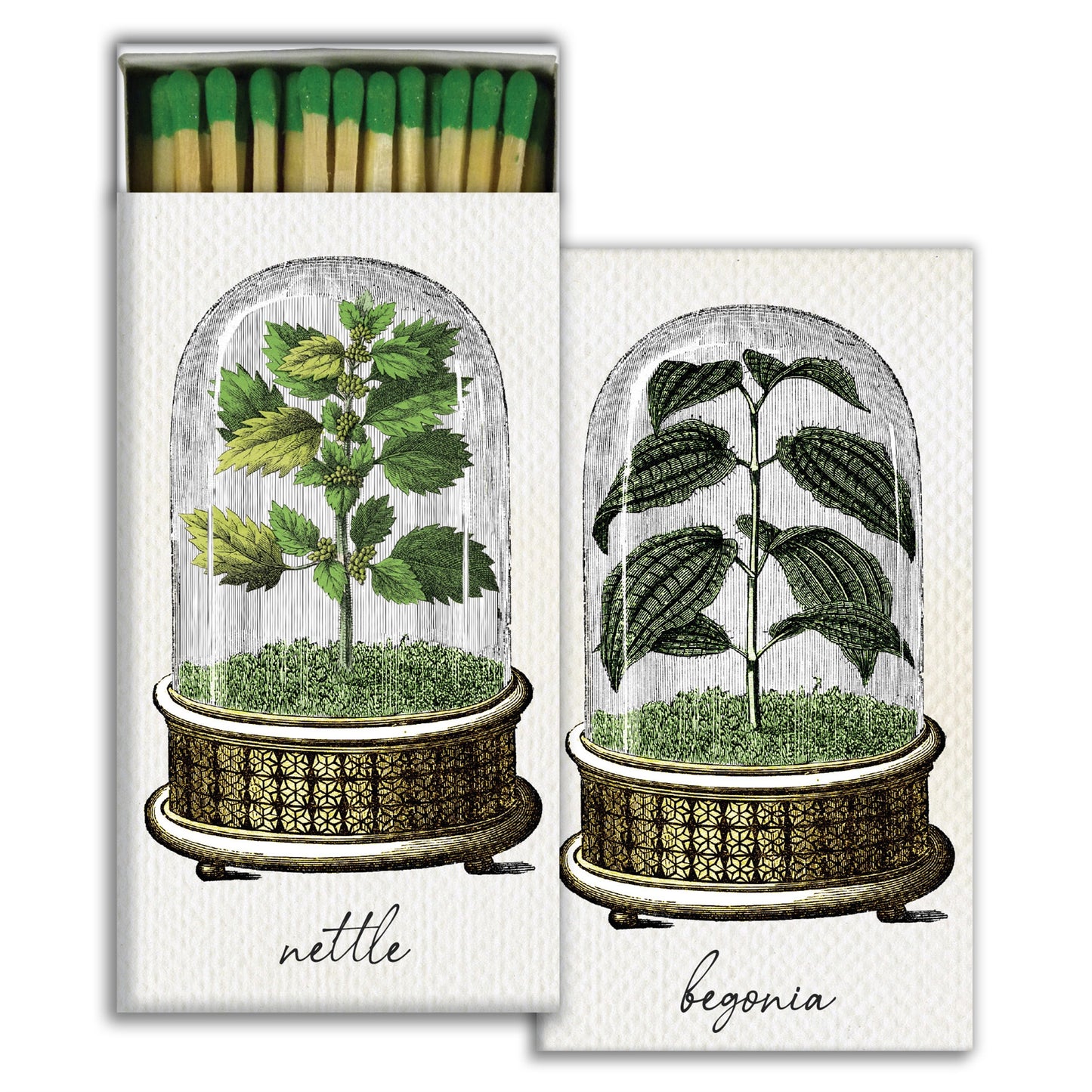 Matches