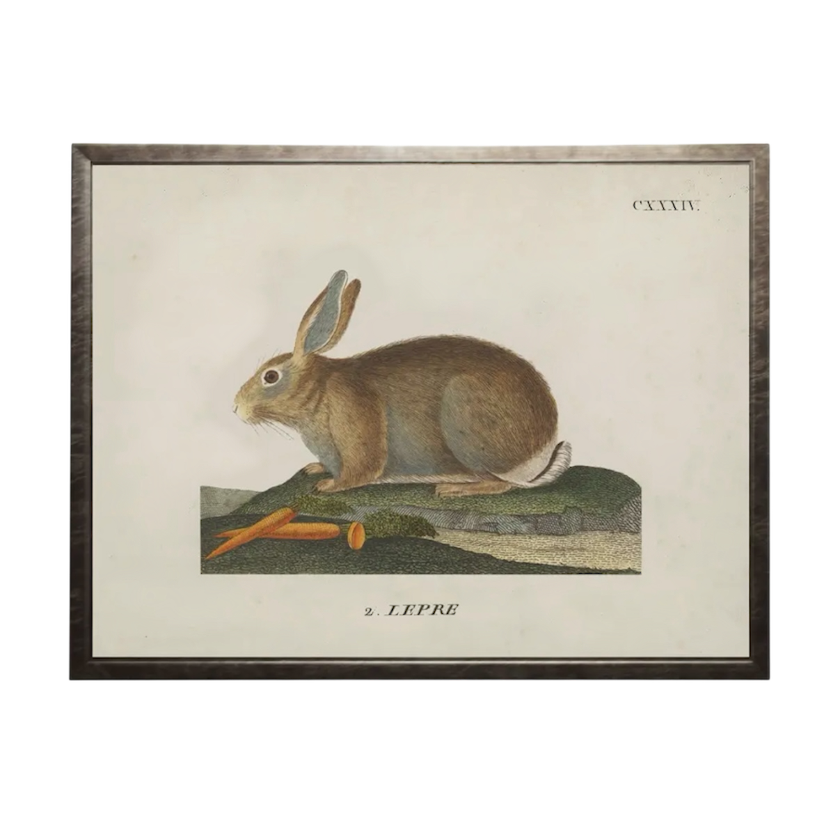 Vintage Bunny Bookplate