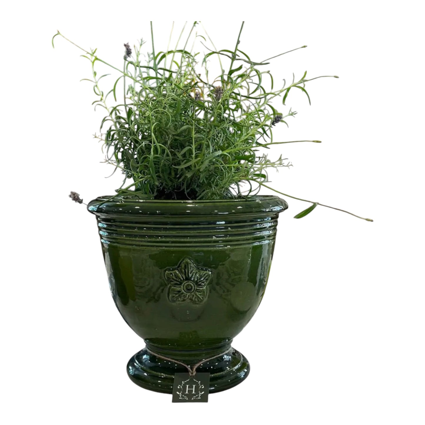 Provence Pot