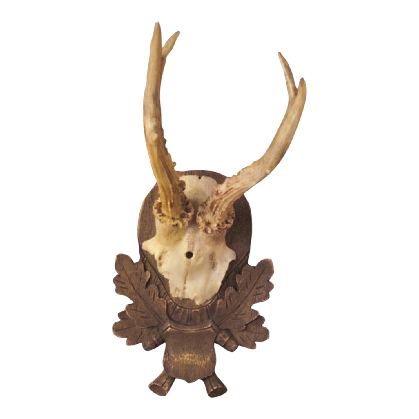 Black Forest Inspired Antler Mounts