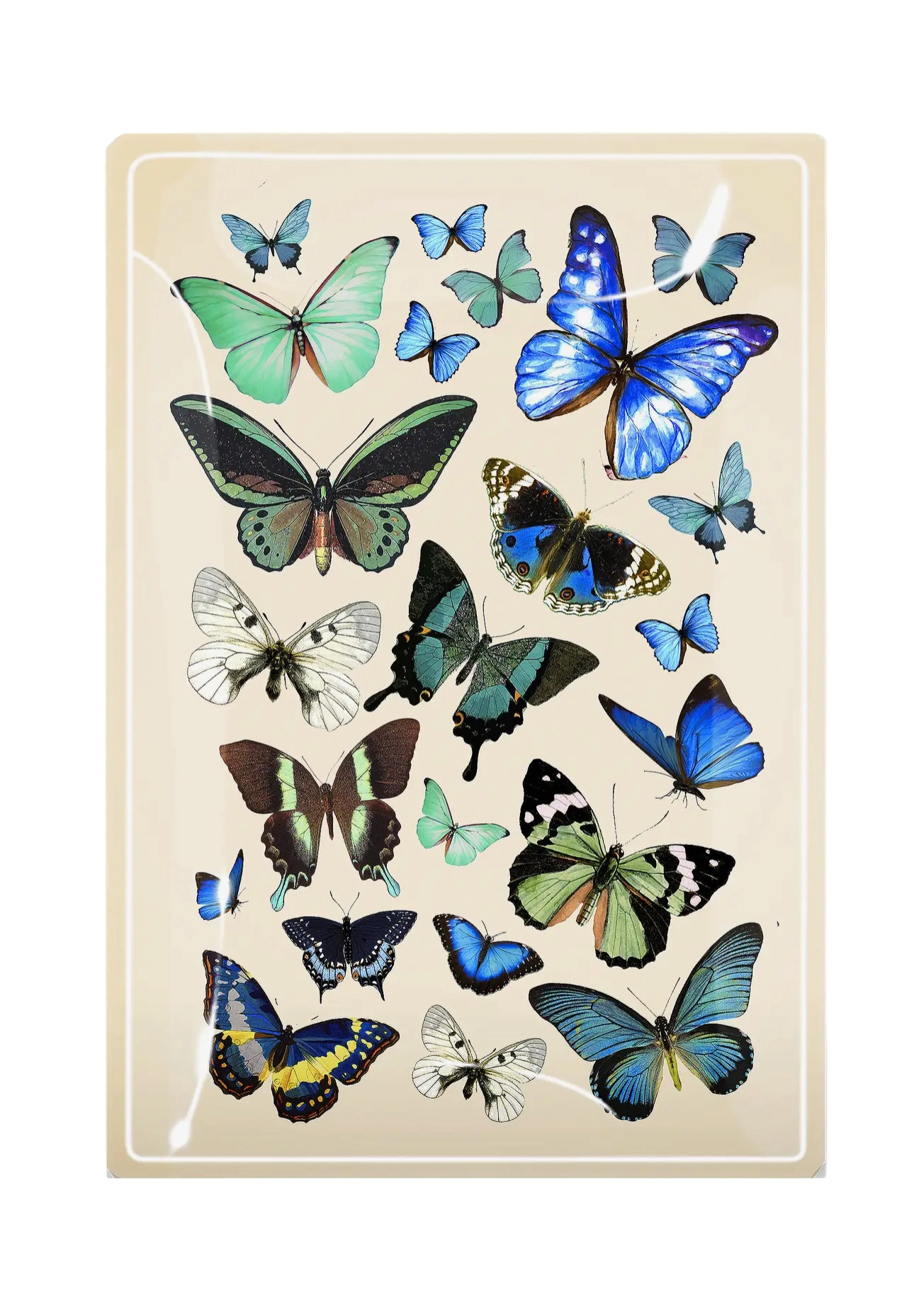 Blue Butterflies Decoupage Tray