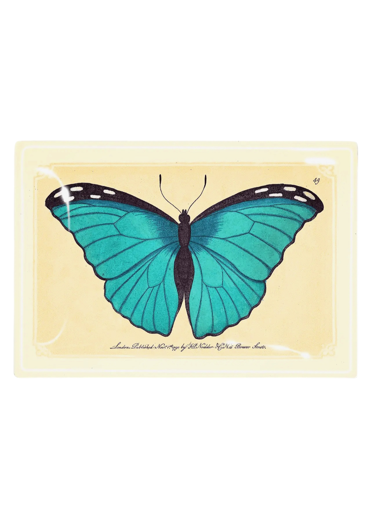 Capri Blue Butterfly Decoupage Tray