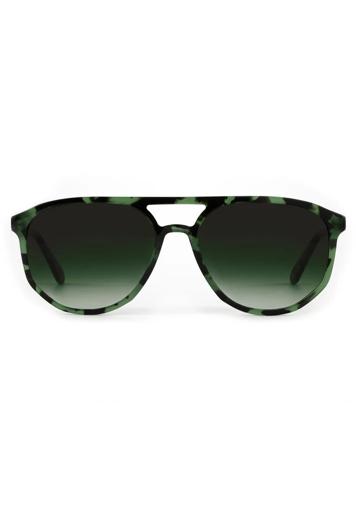 Krewe- Brando Hemlock Tortoise
