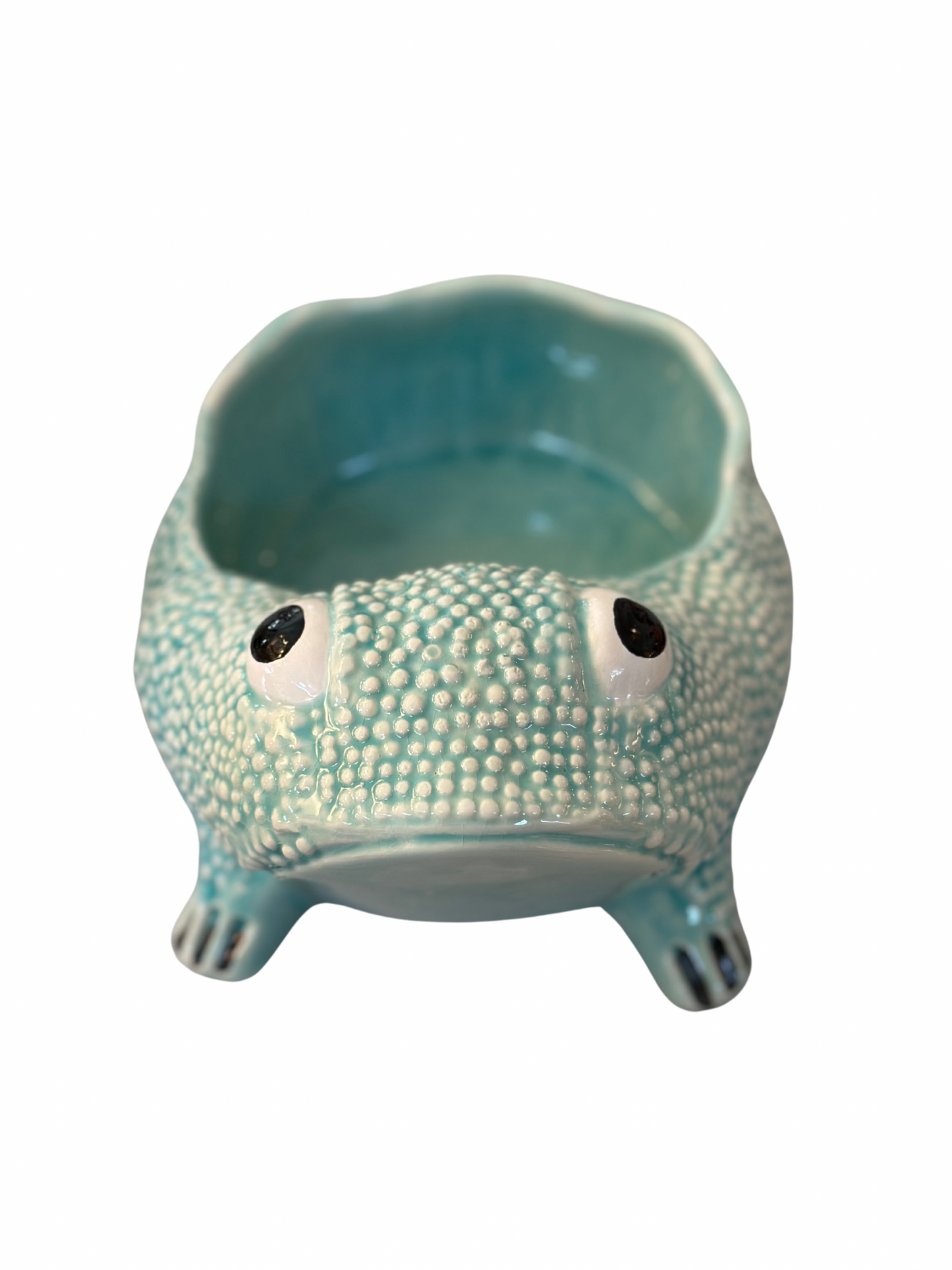 Medium Jean Roger Frog Planter