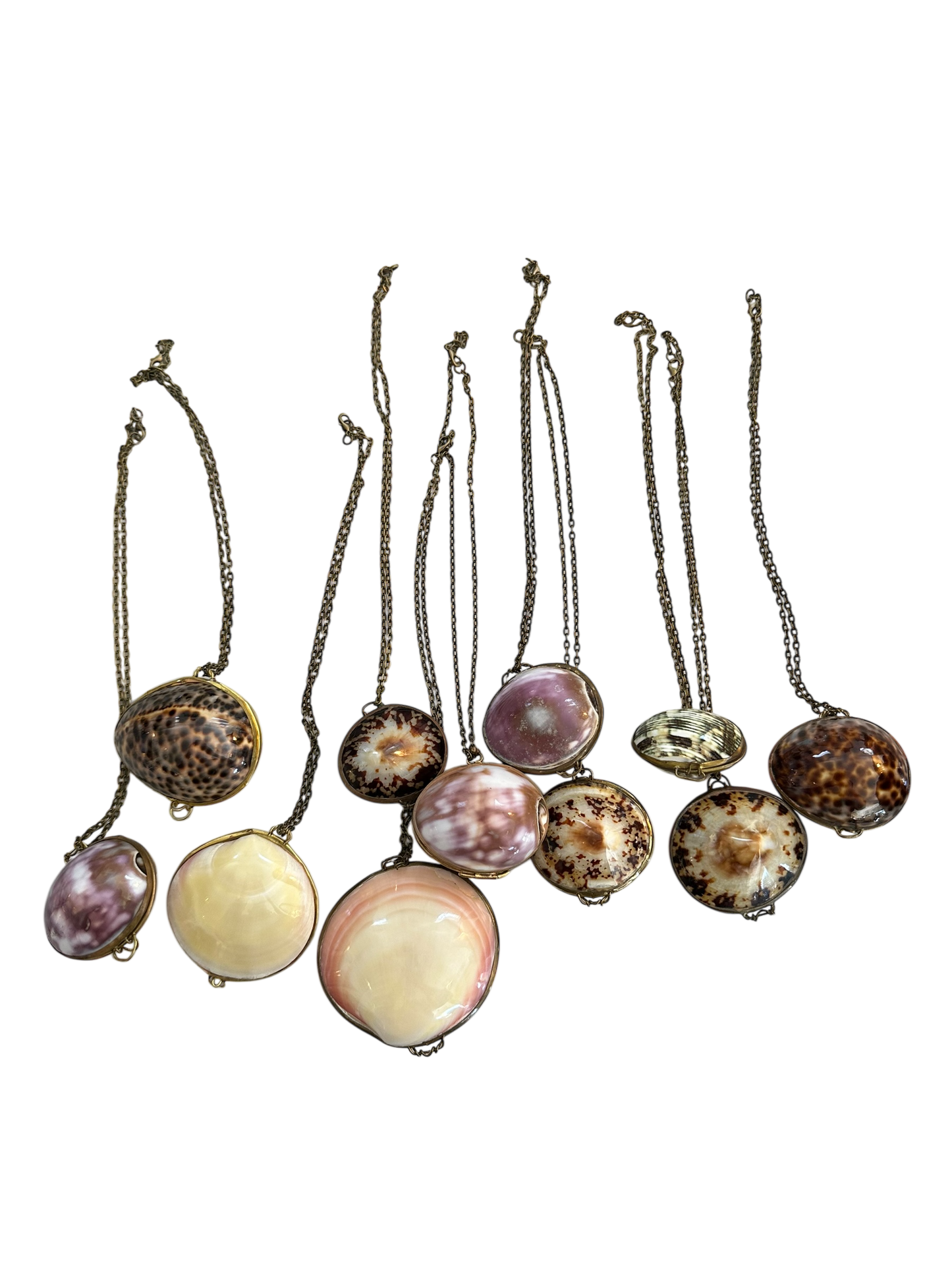 Antique Shell Pill Box Necklace