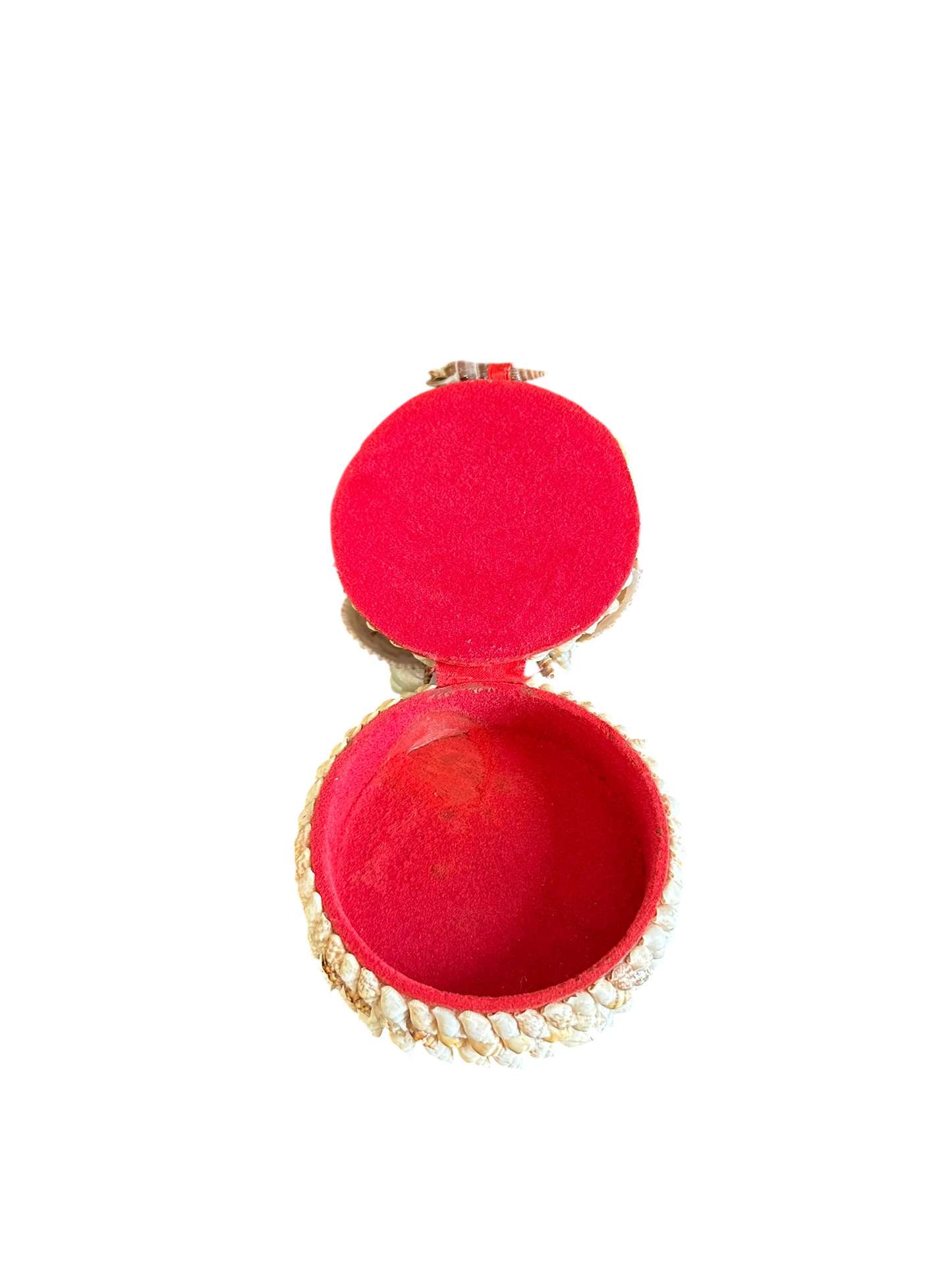 Jenn Leverett Art - Round Shell Encrusted Box II