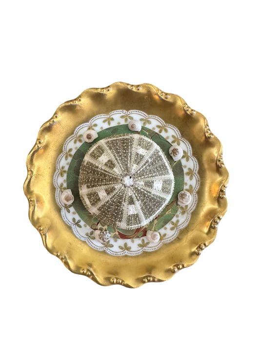 Jenn Leverett Art - Urchin on Marble Paper Limoges