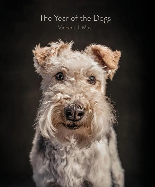 Year of the Dogs
