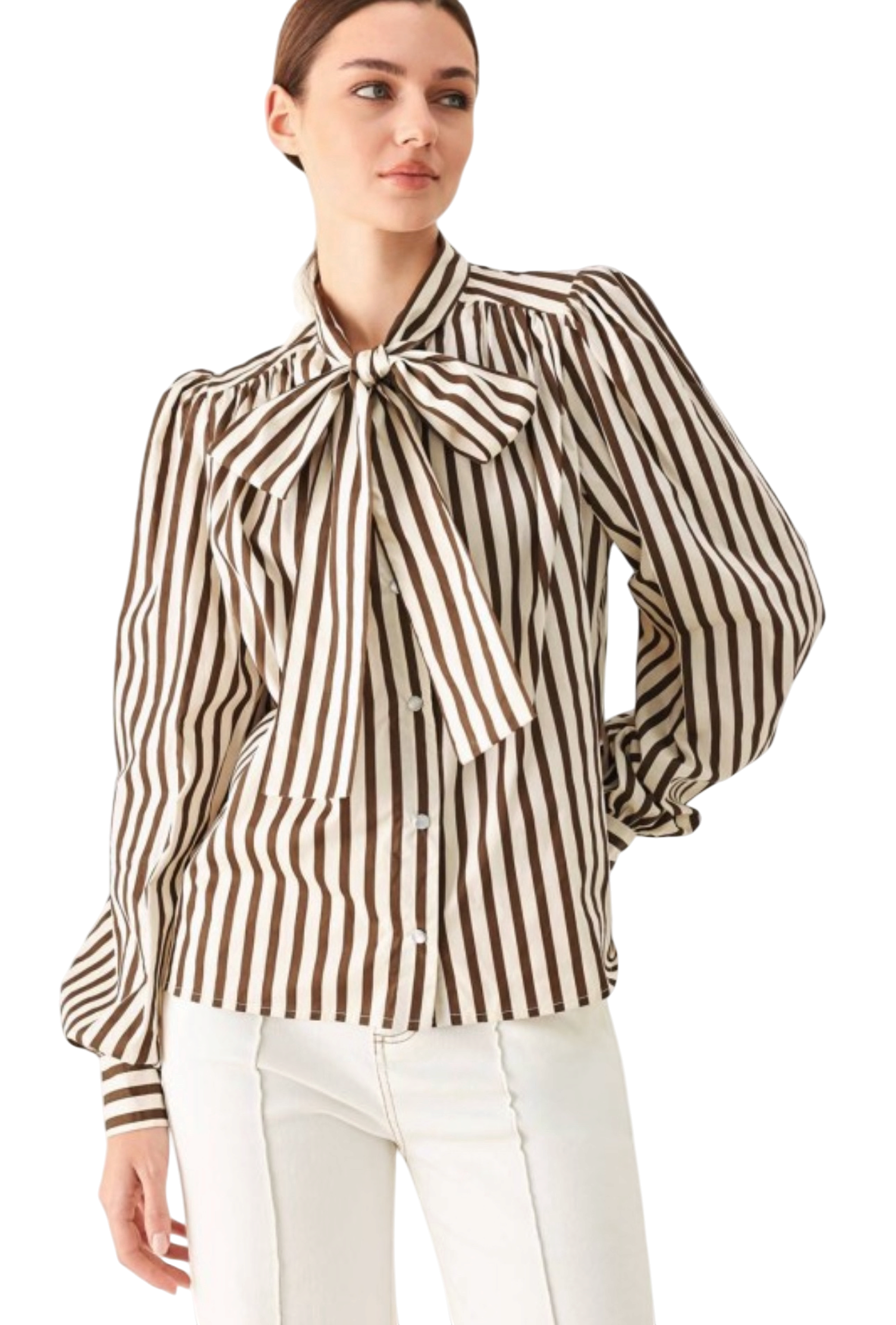 Brown Stripe Blouse