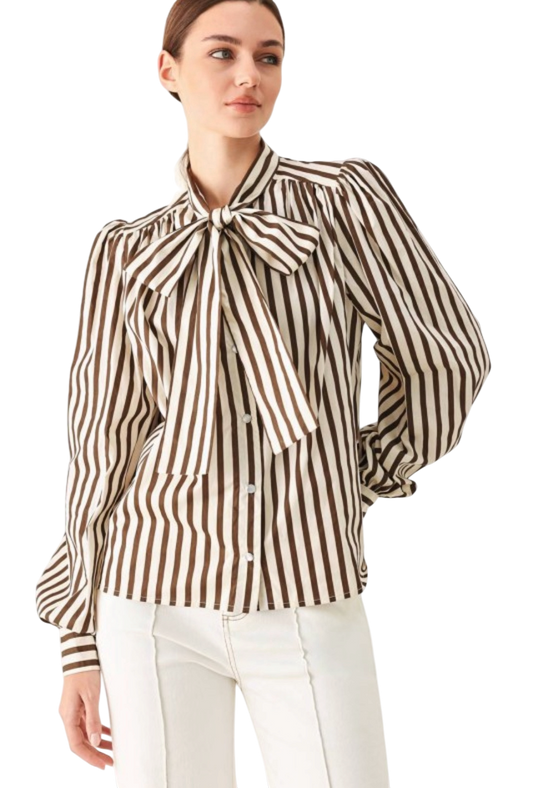 Brown Stripe Blouse