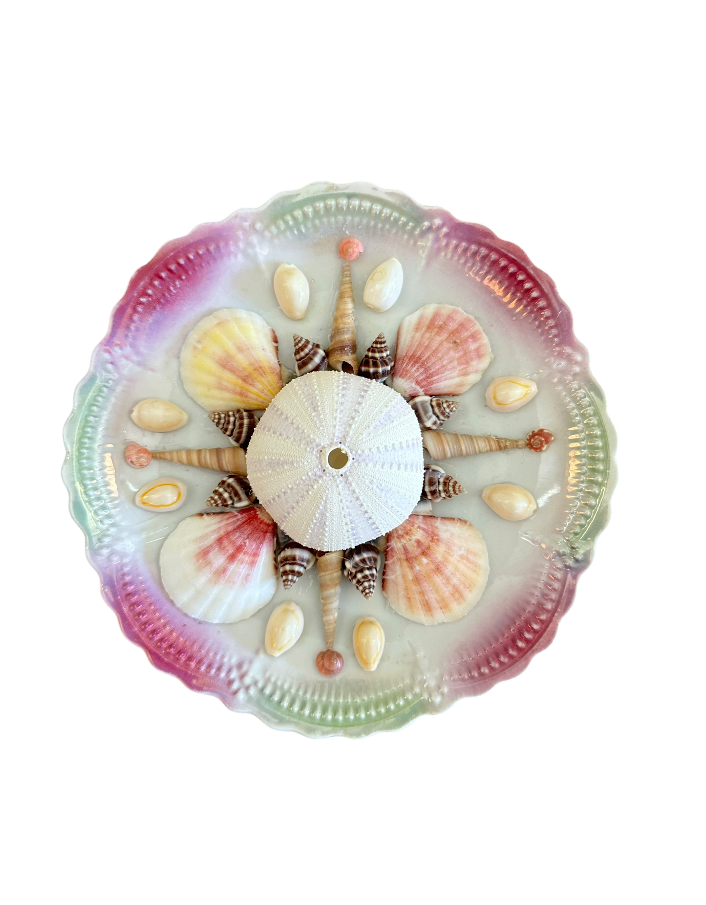 Jenn Leverett Art - Pink & Green Shell Encrusted Plate