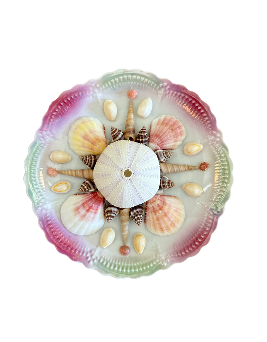 Jenn Leverett Art - Pink & Green Shell Encrusted Plate