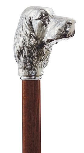 Irish Setter Cane