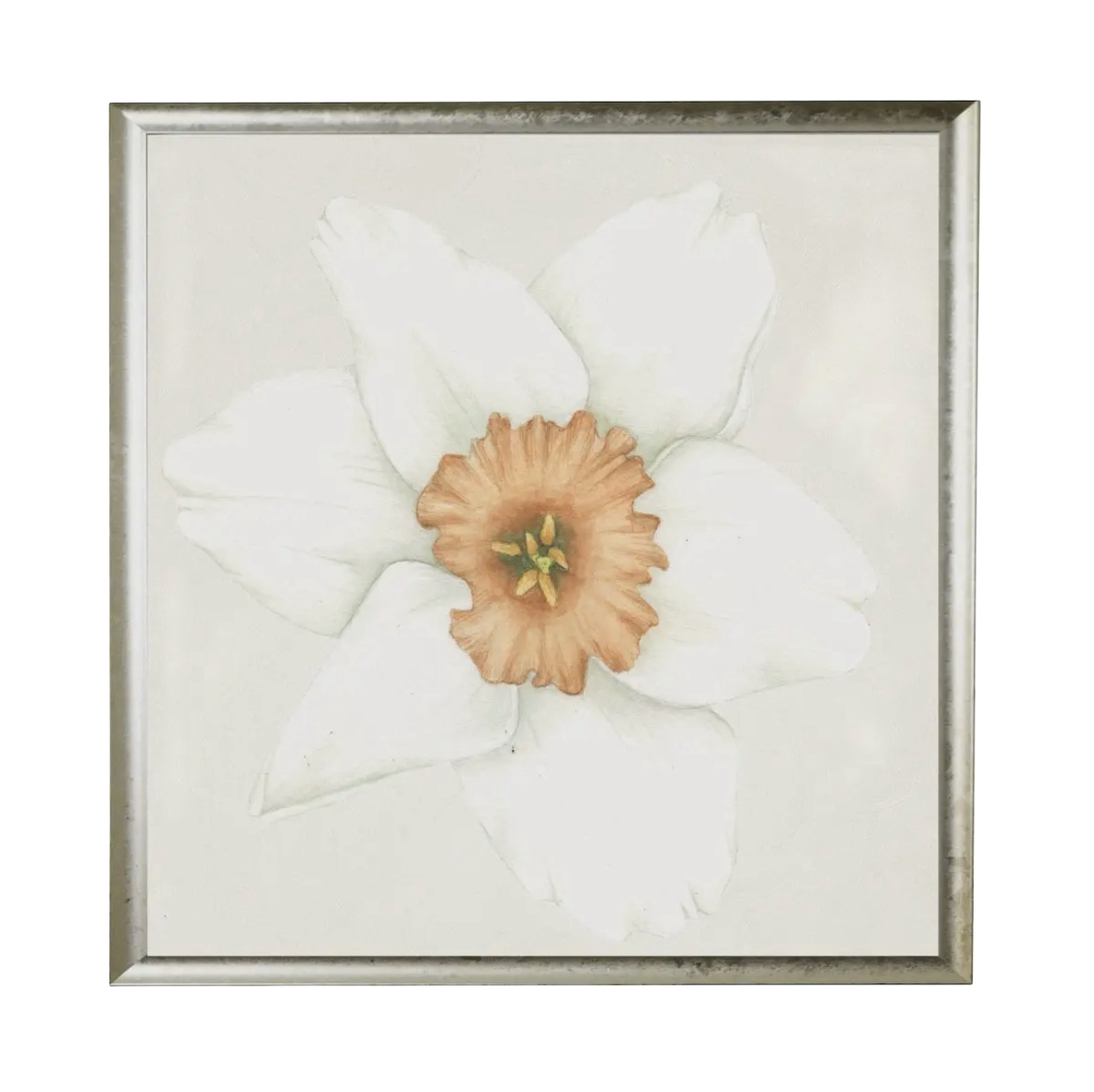 24” x 24” Watercolor Daffodil Prints