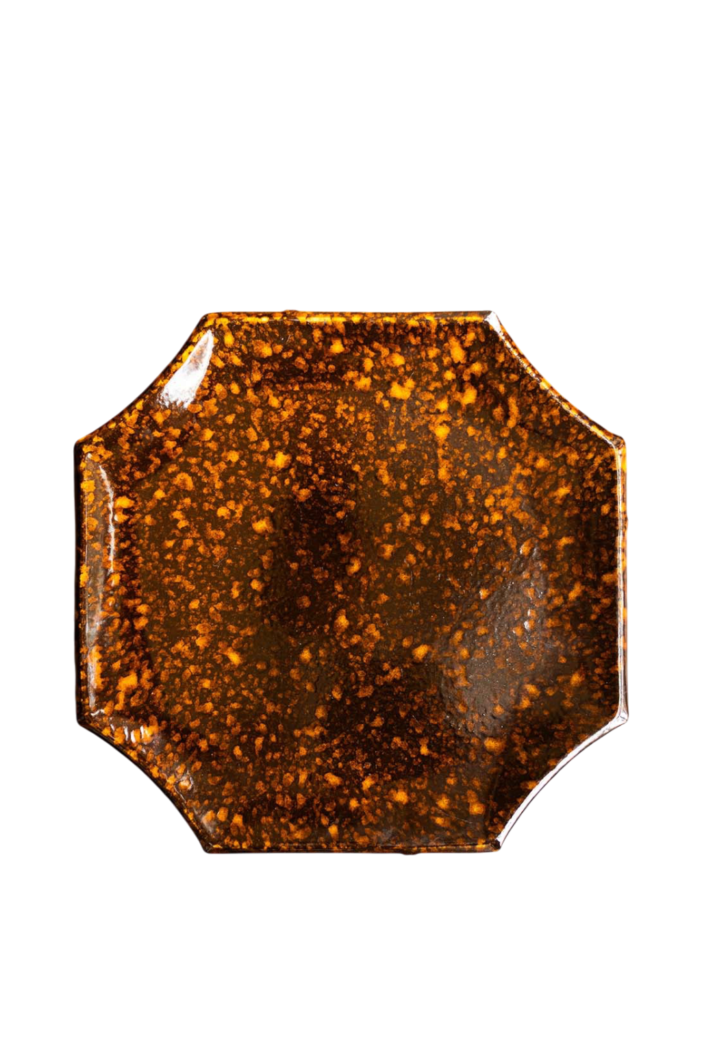 Tortoise Sollevares