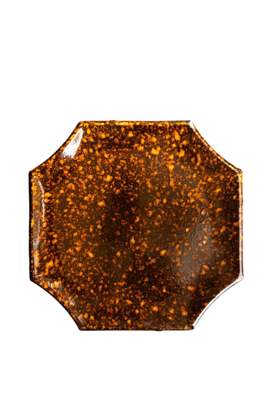 Tortoise Sollevares