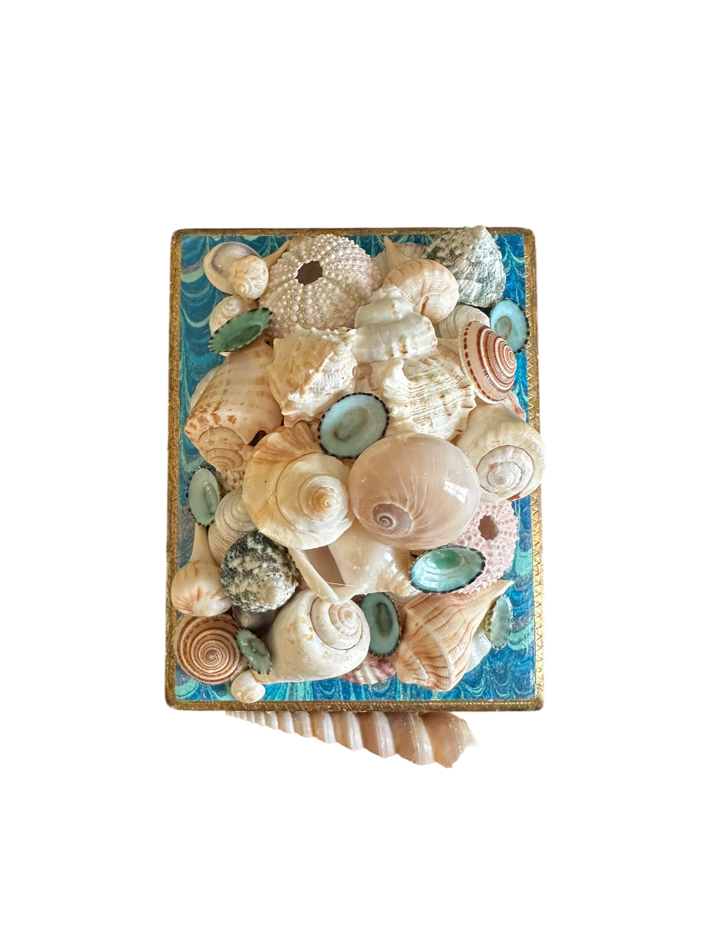 Jenn Leverett Art - Shell Encrusted Box w Marble Paper