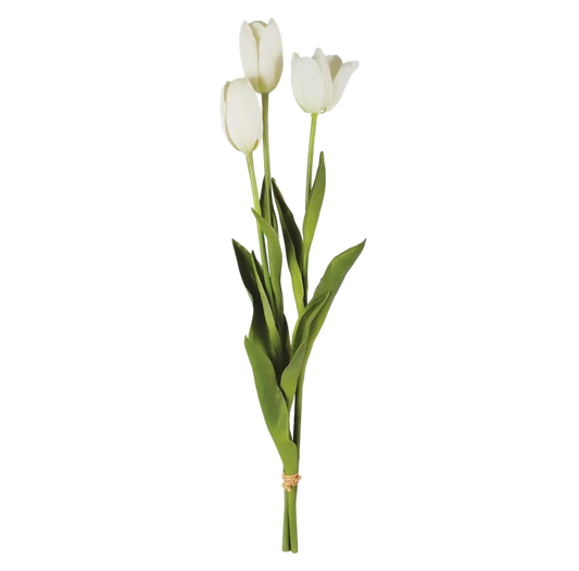 French Tulips