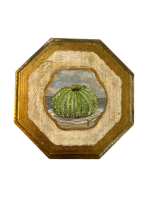 Jenn Leverett Art - Urchin on Florentine