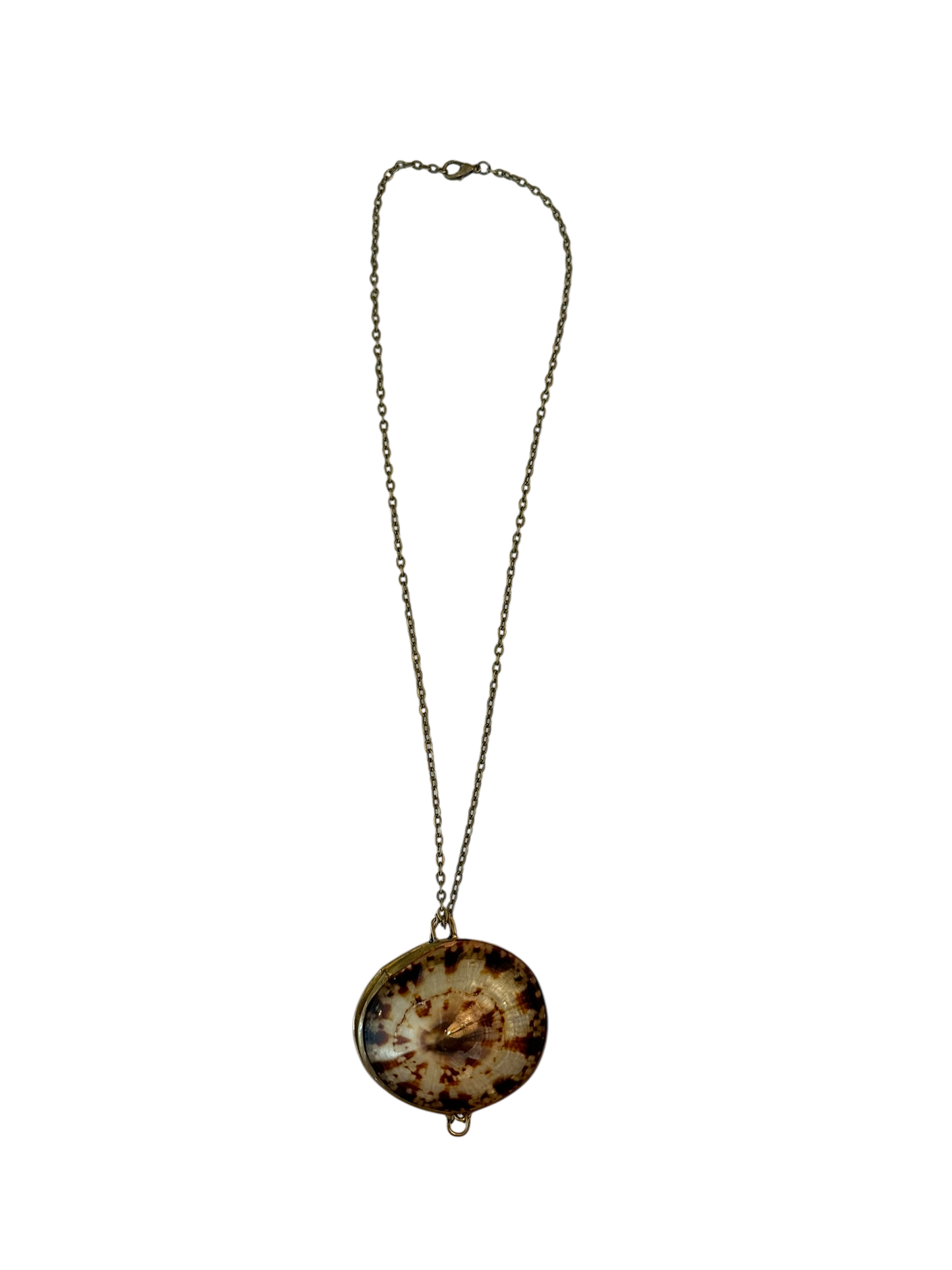 Antique Shell Pill Box Necklace