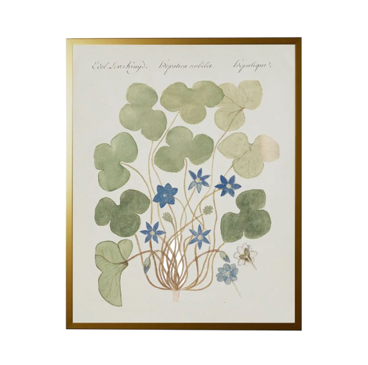 28” x 22” Vintage Bookplate Flower Print