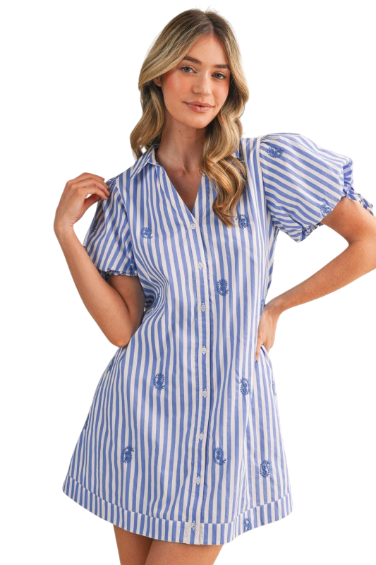 Striped Paisley Embroidery Mini Dress