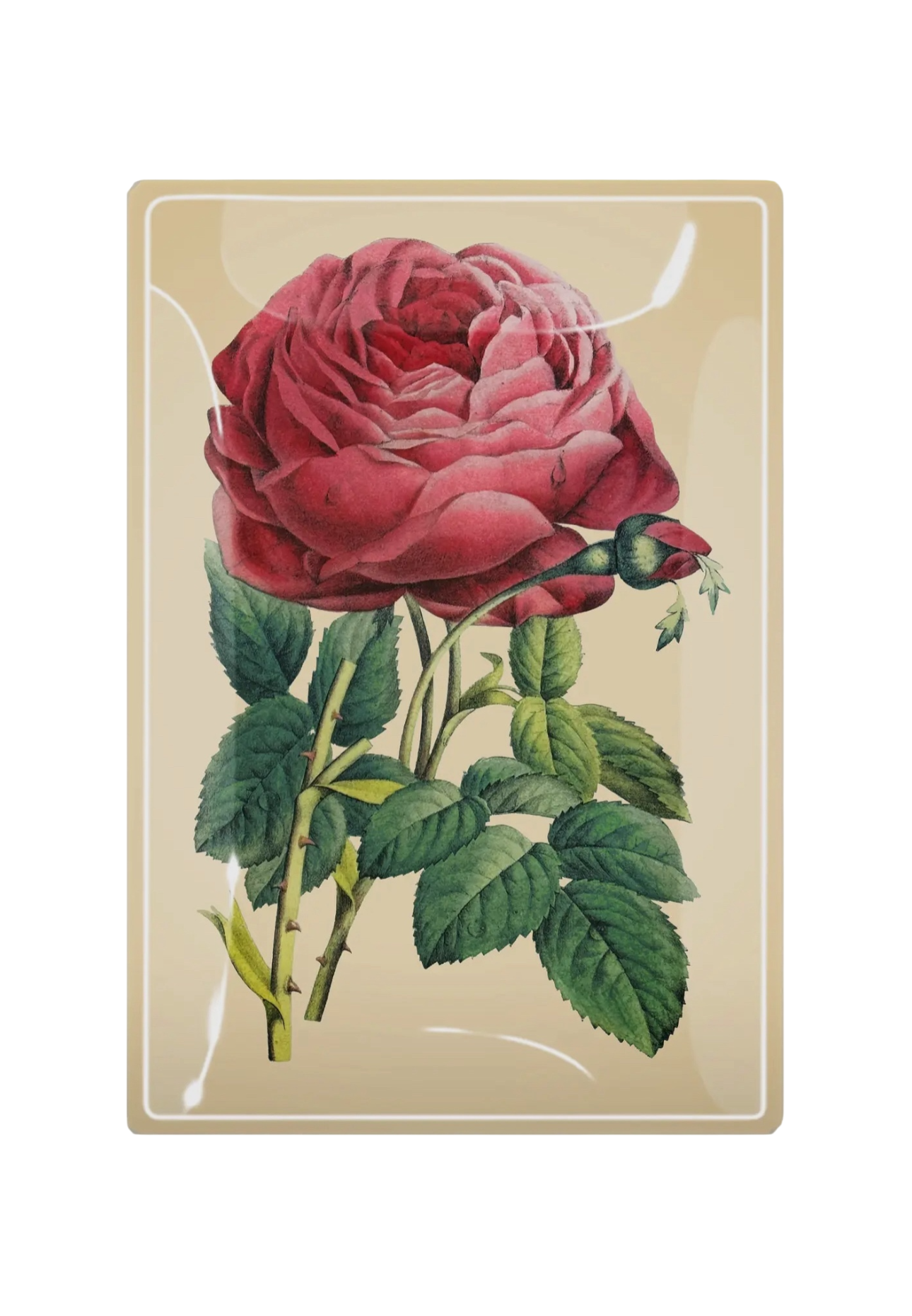 Pink Rose Decoupage Glass Tray