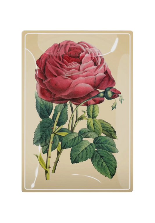 Pink Rose Decoupage Glass Tray