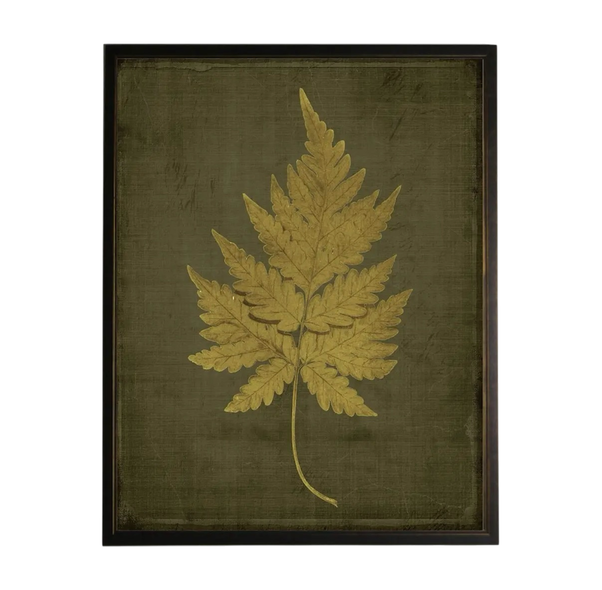 Golden Fern Prints